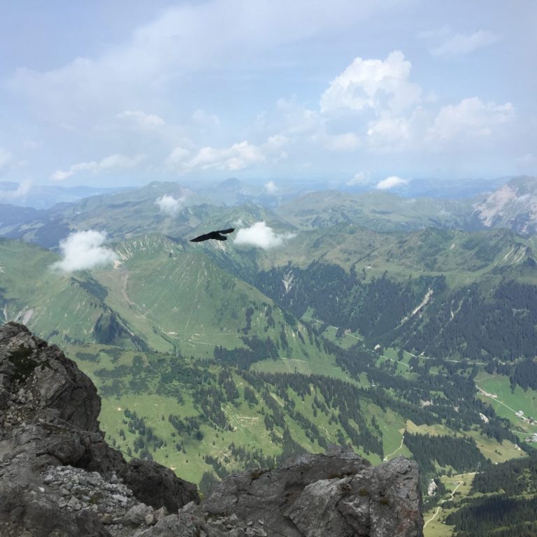 Mit Weitblick die nächsten Schritte planen Weitblick über grüne Bergketten und Täler unter einem leicht bewölkten Himmel.