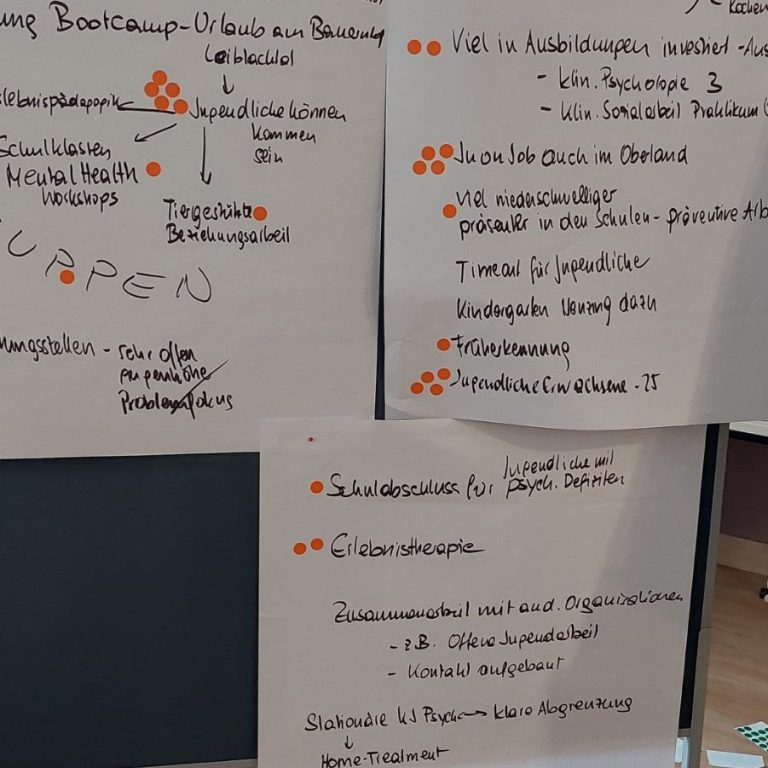 Aus Austausch werden konkrete Schritte Handschriftliche Notizen halten gemeinsame Erkenntnisse aus einem Workshop fest.