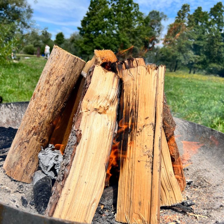 Raum für gemeinsame Erlebnisse Holzscheite brennen in einem gemeinsam vorbereiteten Feuer im Freien.